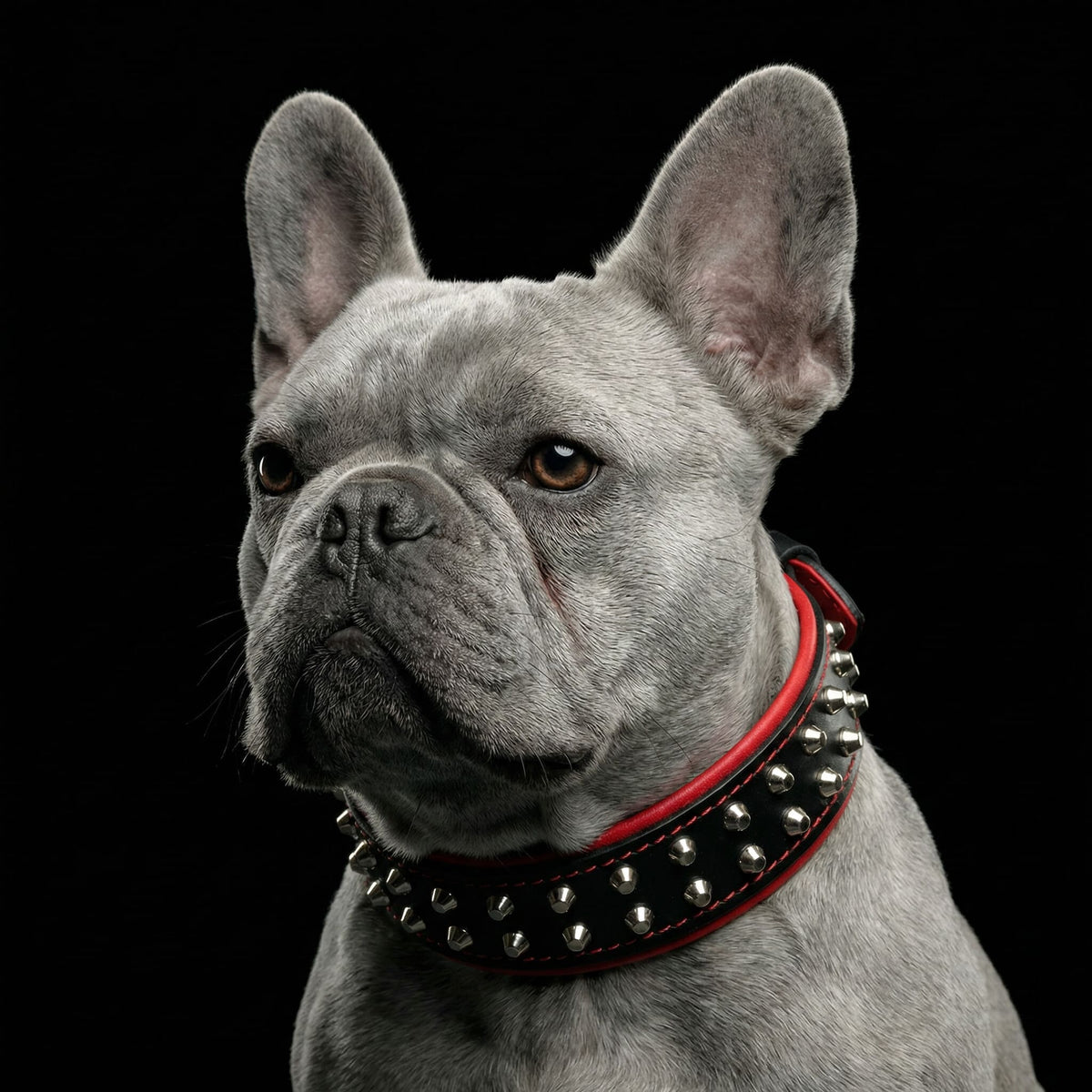 Collare per Cani Borchiato "Rocky" BESTIA – Disponibile in Set con Guinzaglio